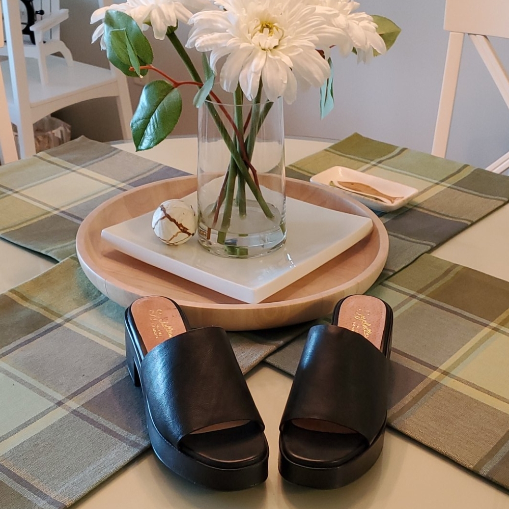 Seychelles mules